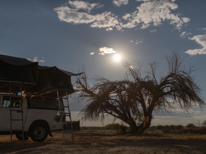 Bild 190221_0221.800x600.jpg